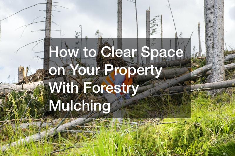 How to Clear Space on Your Property With Forestry Mulching - NC Pool Supply